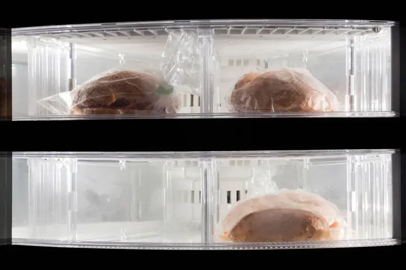 Three bread rolls in clear plastic bags on two see-through drawers of a home freezer