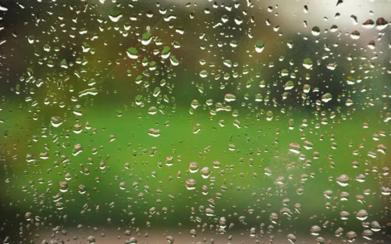 Hundreds of water droplets clinging to a window pane, with a blurred green lawn and trees behind the glass
