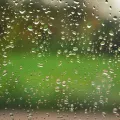 Hundreds of water droplets clinging to a window pane, with a blurred green lawn and trees behind the glass