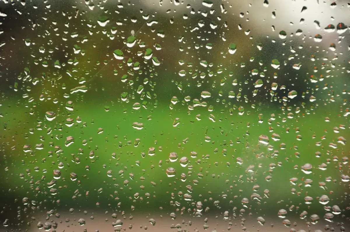 Hundreds of water droplets clinging to a window pane, with a blurred green lawn and trees behind the glass
