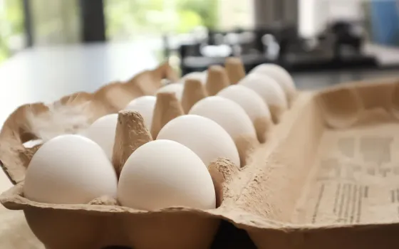 Open cardboard egg box on a worktop with white eggs and a small feather, blurred garden light behind